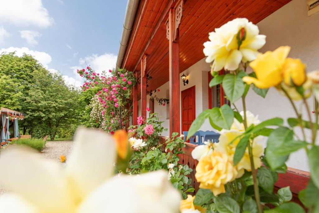 Rózsa Apartman Aggtelek photo 1