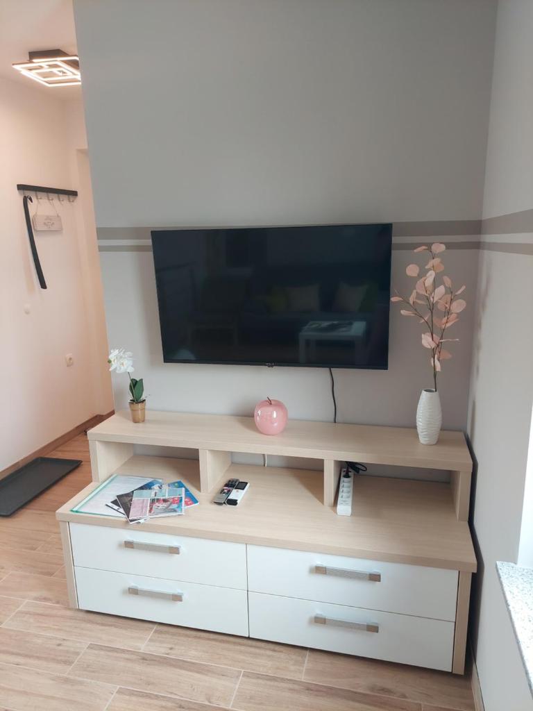 Apartma VALI photo 4