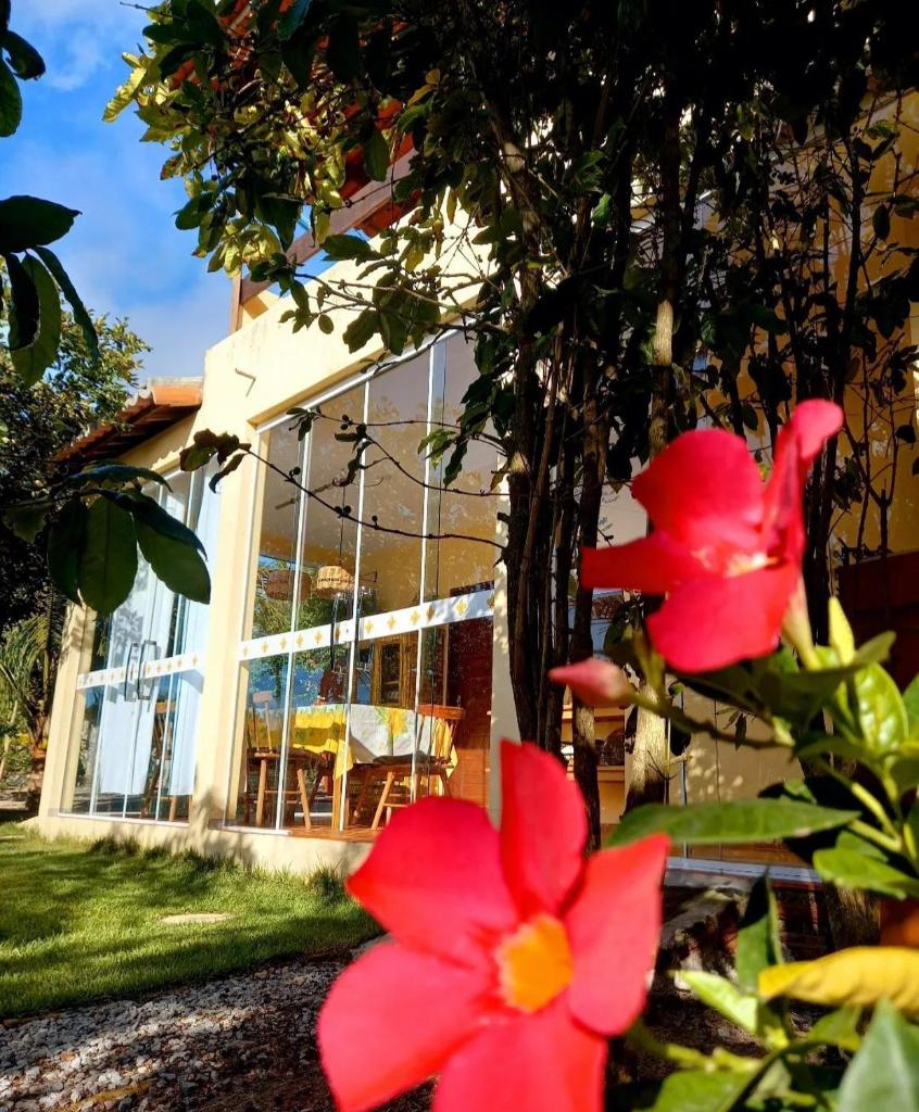 Quinta Flor-de-Lis photo 2