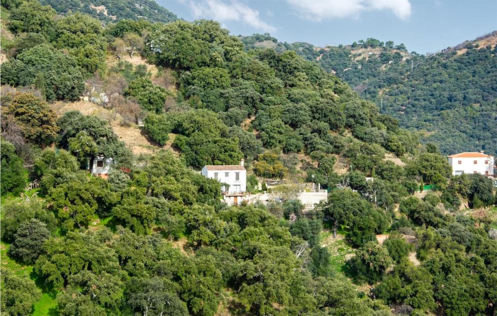 Amazing Home In Algatocin With Indoor Swimming Pool, 3 Bedrooms And Swimming Pool photo 3