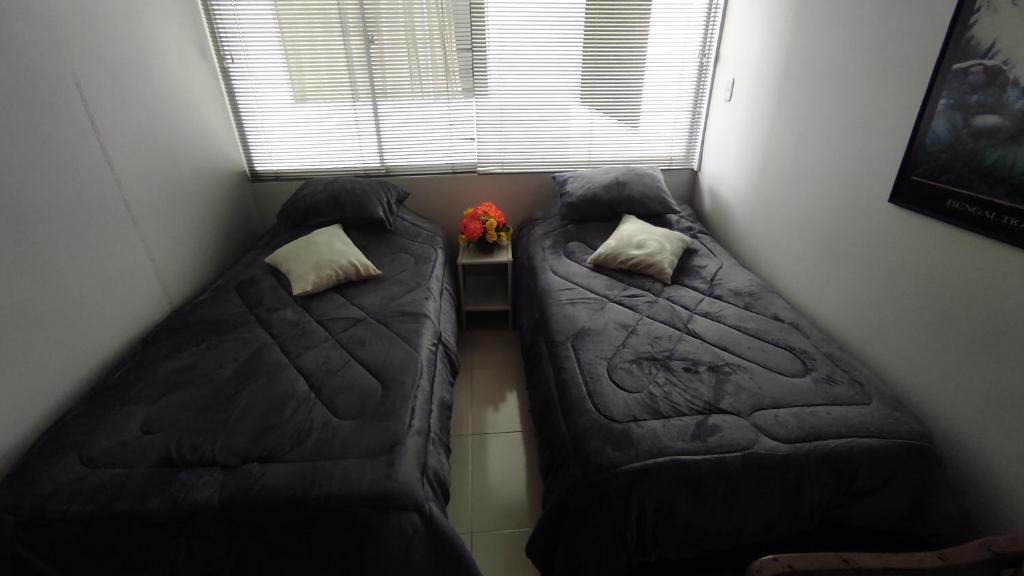 APARTAMENTO CÓMODO, ILUMINADO Y CENTRAL EN MANIZALES photo 3