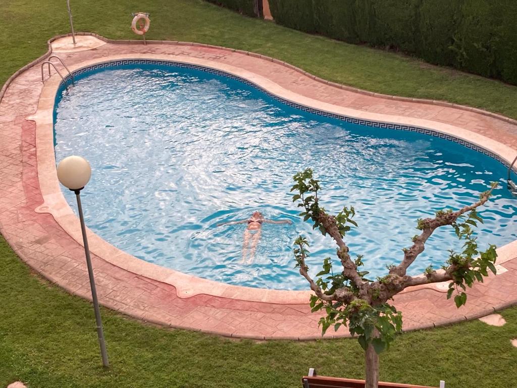 Oliveres photo 3