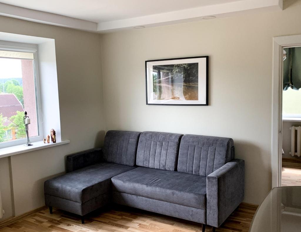 Vienuolio Apartament - jauki vieta poilsiui šalia upės photo 1