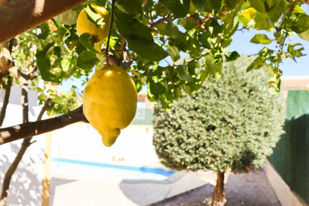 Mazarron Country Club Resort photo 4