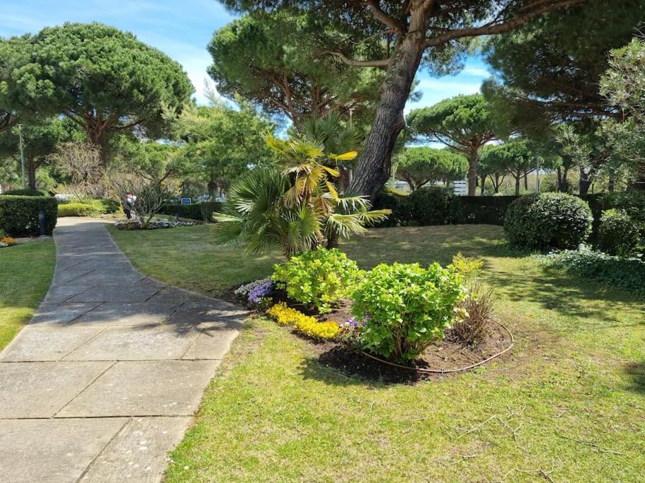 Superbe T2 tout confort classé 3 étoiles, entierement renové, climatisé, piscine wifi et parking gratuits photo 3