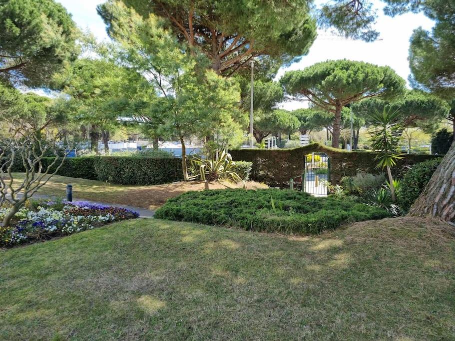 Superbe T2 tout confort classé 3 étoiles, entierement renové, climatisé, piscine wifi et parking gratuits photo 2