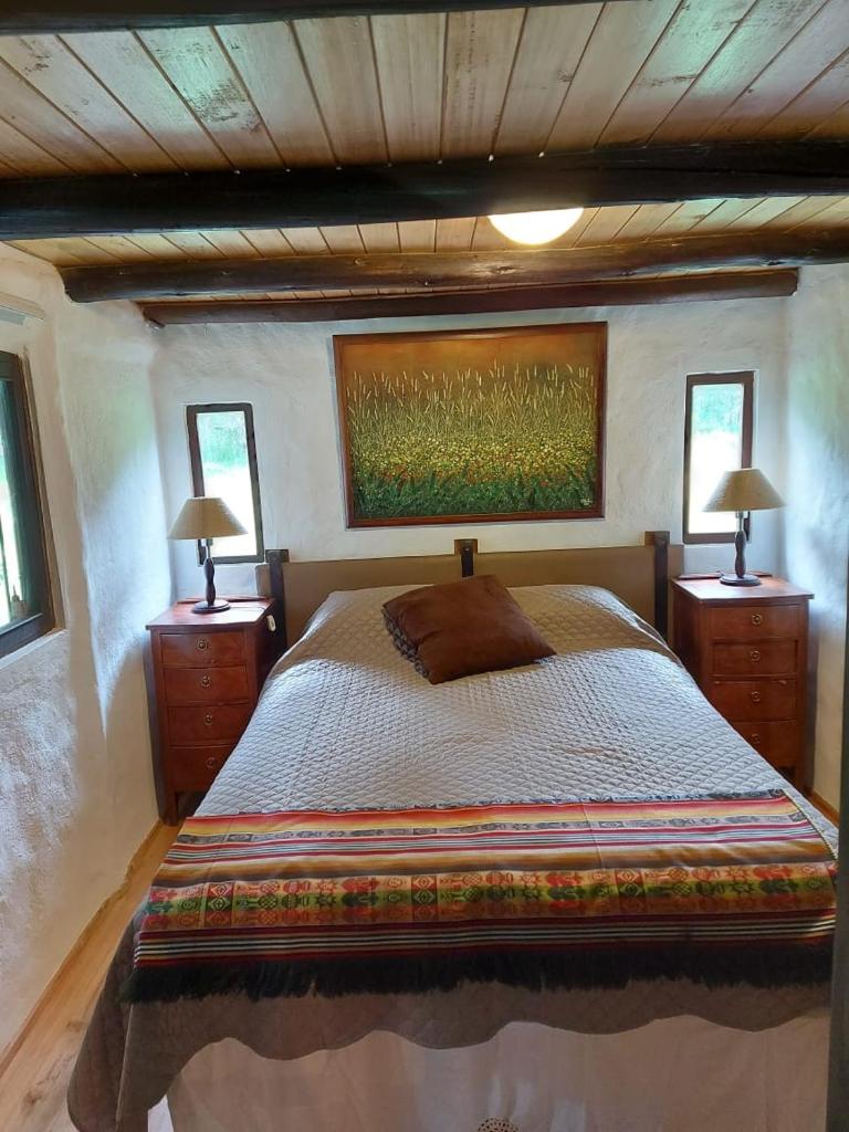 The Tree House photo 4