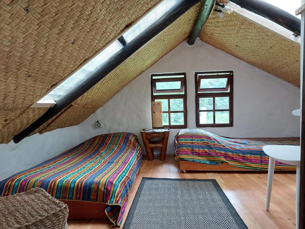 The Tree House photo 3