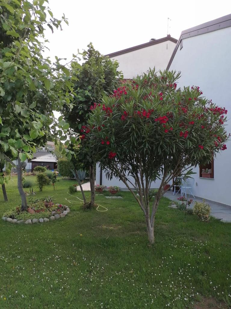 Casa MI-RE-LA photo 3