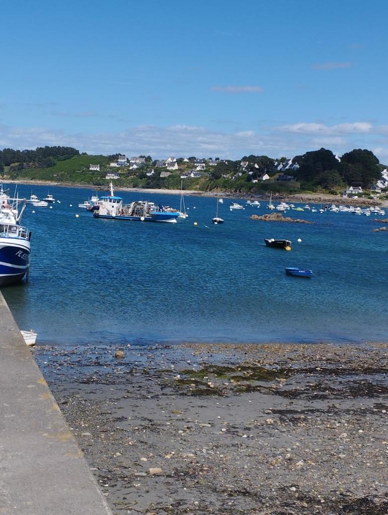 Maison du martin pêcheur à Lannion photo 3