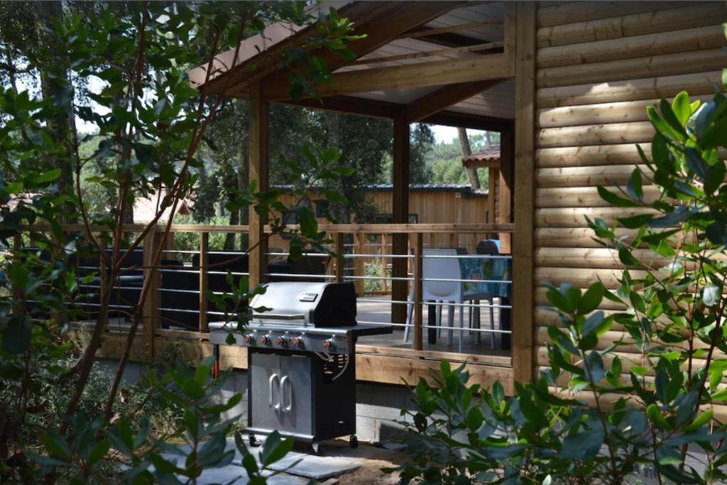 Chalet 62 photo 3
