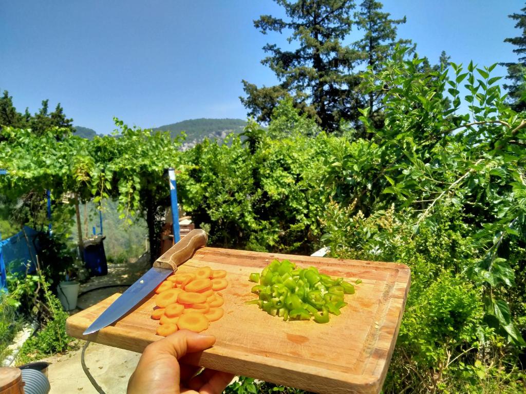TOKGÖZ HOTEL RESTAURANT photo 3