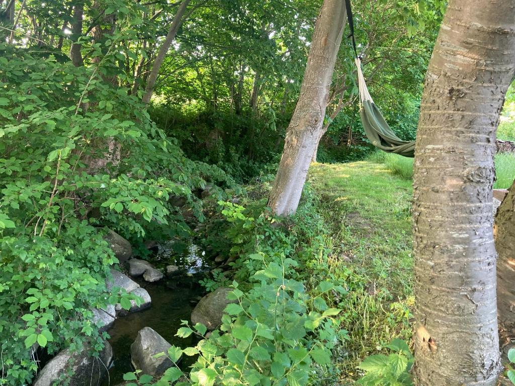 Residens Svalhøj photo 4