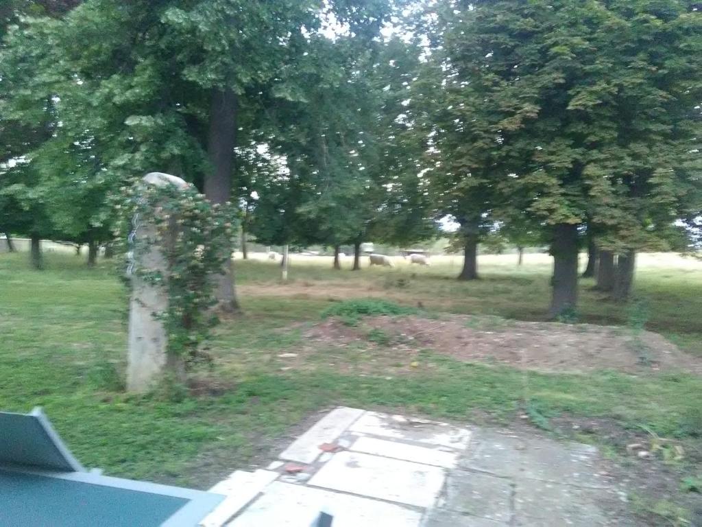 Mlle Labeaume photo 1