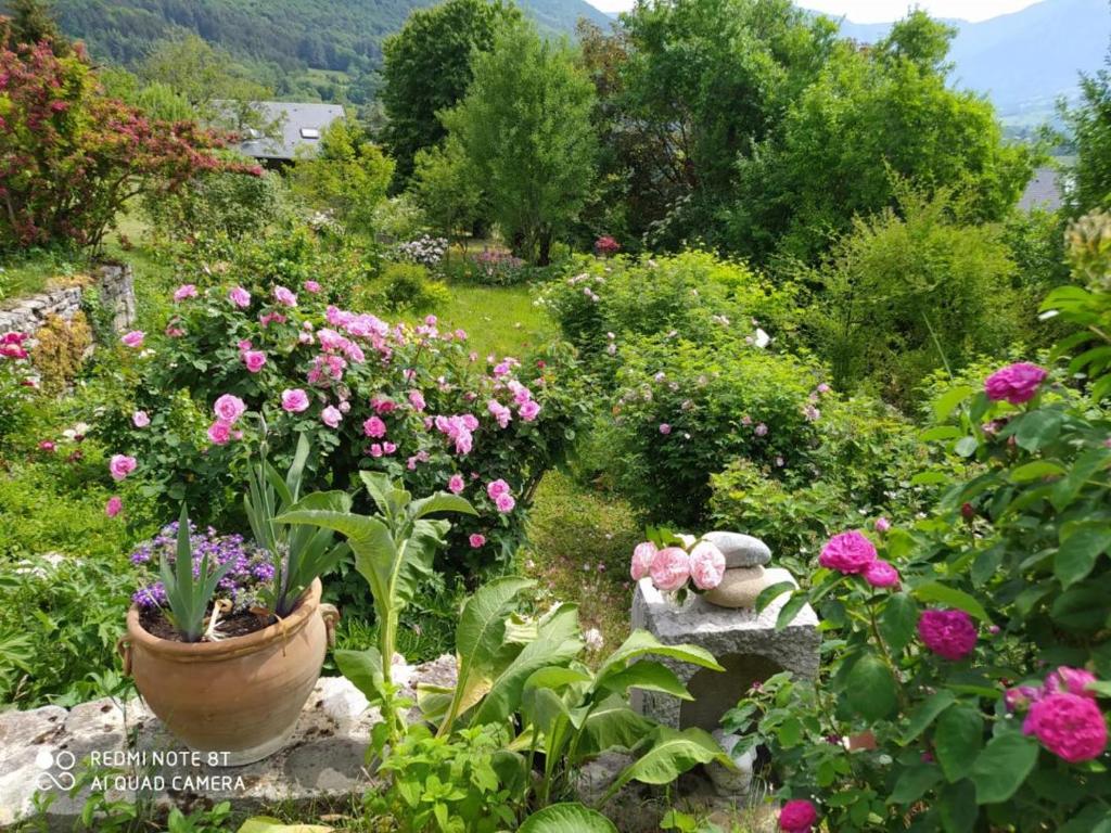 Suite au pied de la montagne et vue imprenable photo 4