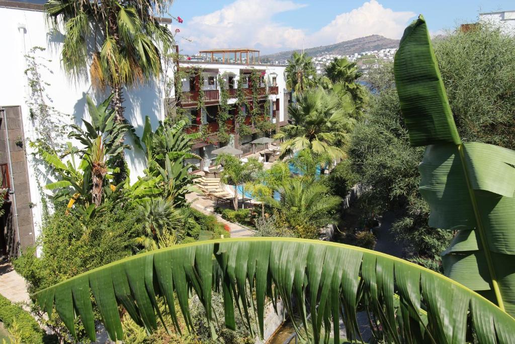 Olira Boutique Hotel&SPA photo 2