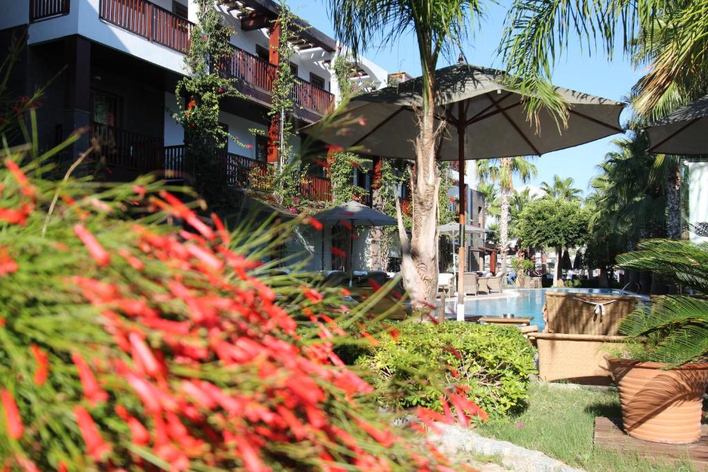 Olira Boutique Hotel&SPA photo 4