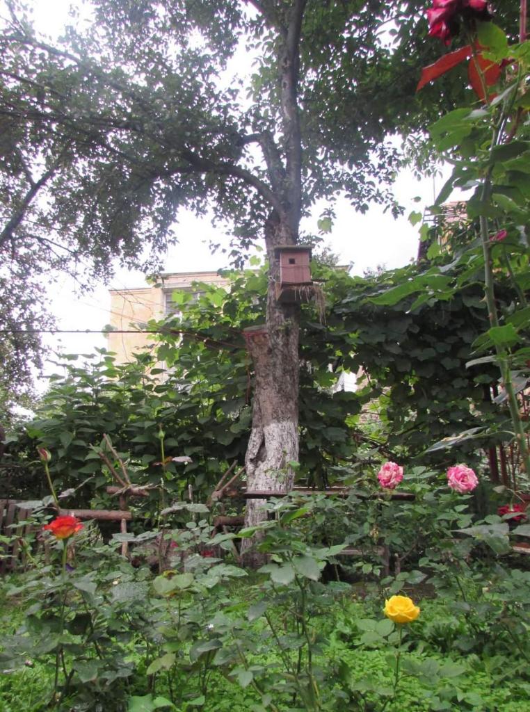Ruzanna's Bed & Breakfast photo 2