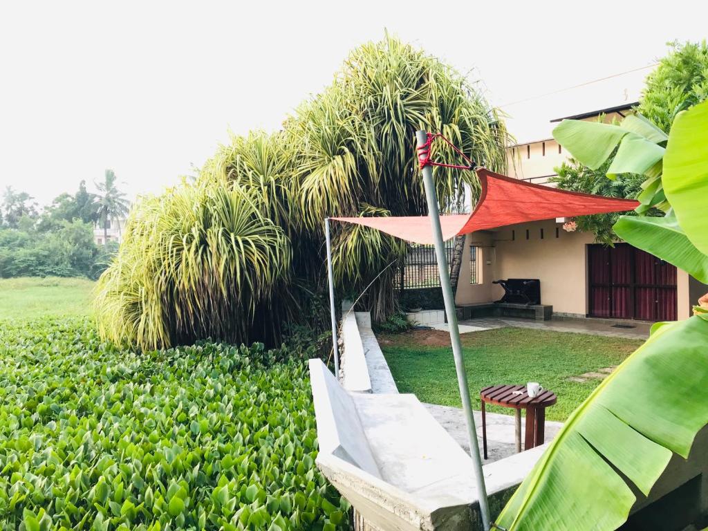 Sri Beach Bungalows And Villa photo 4