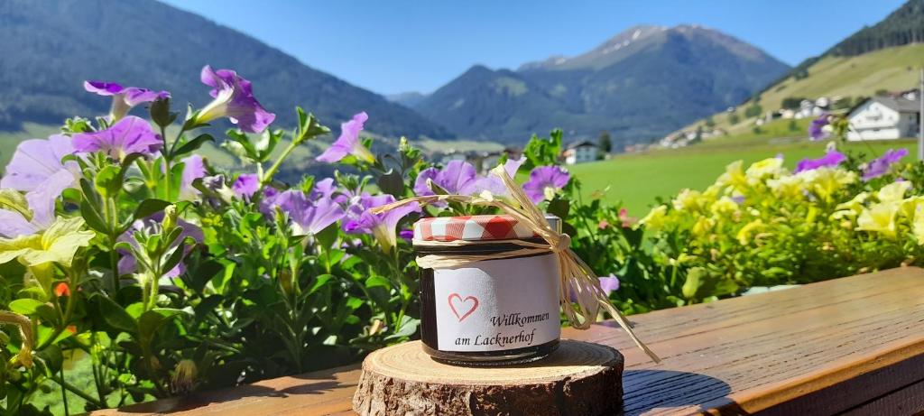 Lacknerhof photo 2