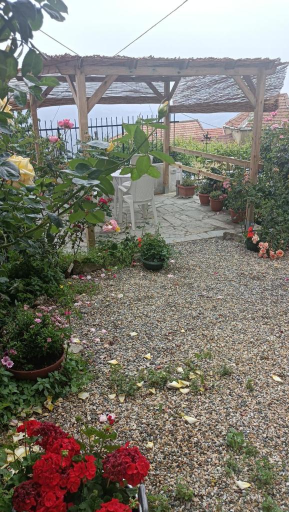 casetta della fontana photo 1
