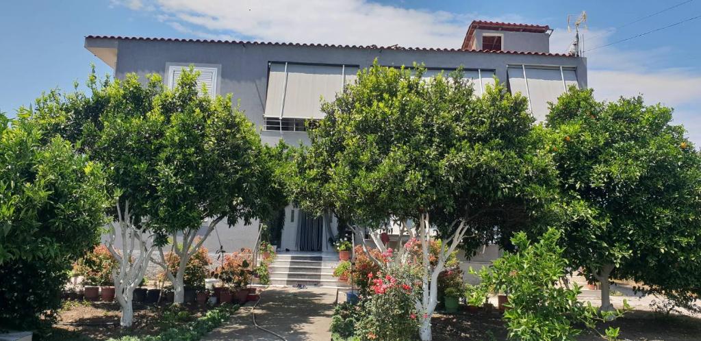 Guesthouse Anila photo 1