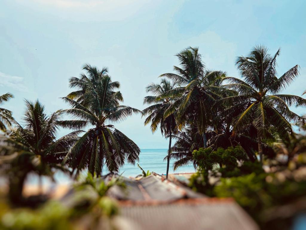 Beachbliss Home Stay photo 3