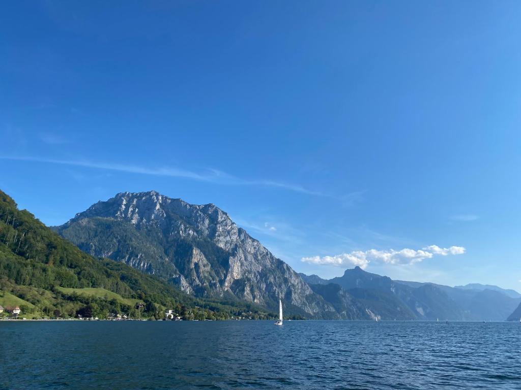 Ferienhäuschen am Traunsee photo 1