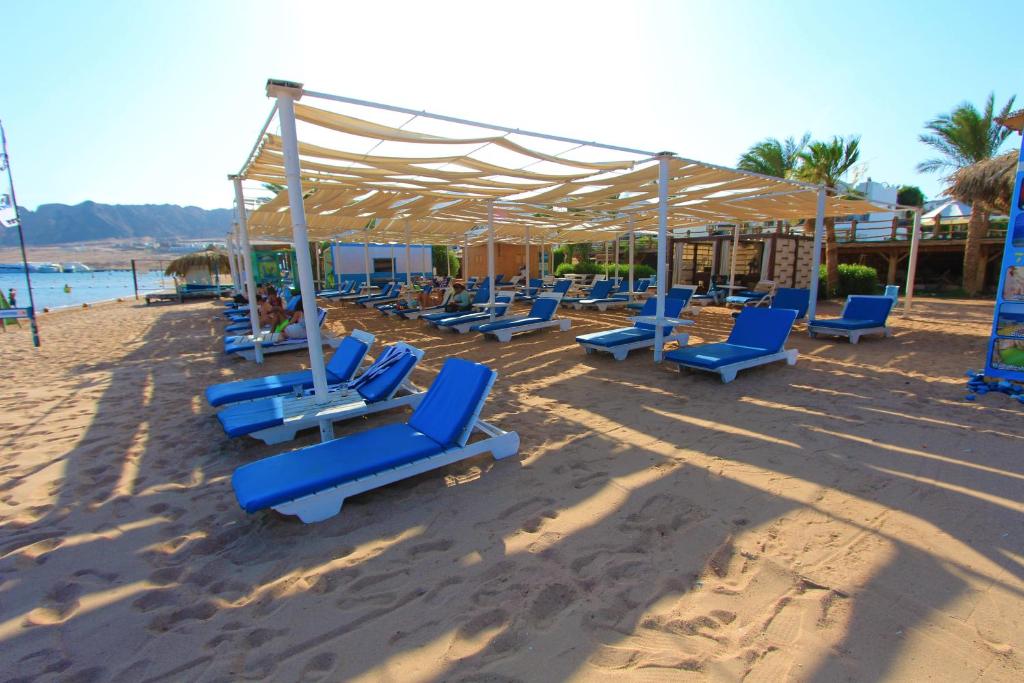 Panda resort photo 4