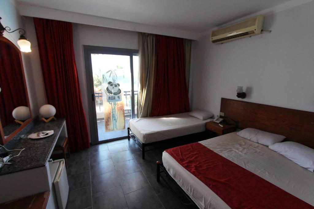 Panda resort photo 3