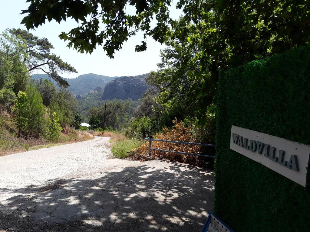 Waldvilla photo 4