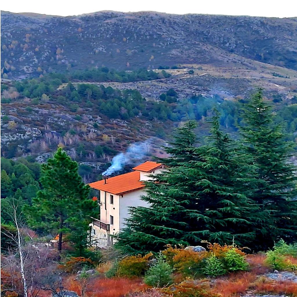 La Ponderosa Cumbrecita photo 2