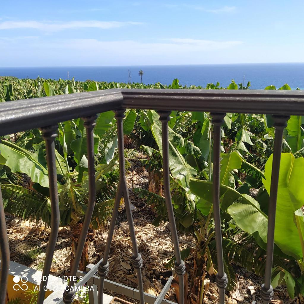 Trebol Trail Mountain La Palma Junto a Caracol photo 2