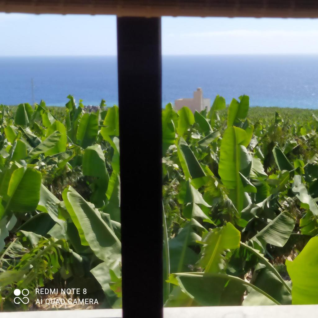 Trebol Trail Mountain La Palma Junto a Caracol photo 4