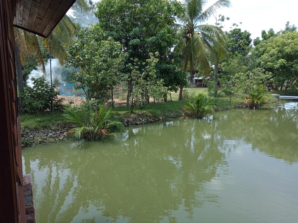 Home Style Resort photo 2