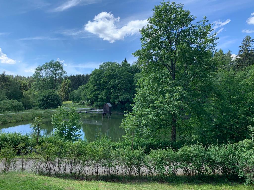 Haus am Kurpark photo 1
