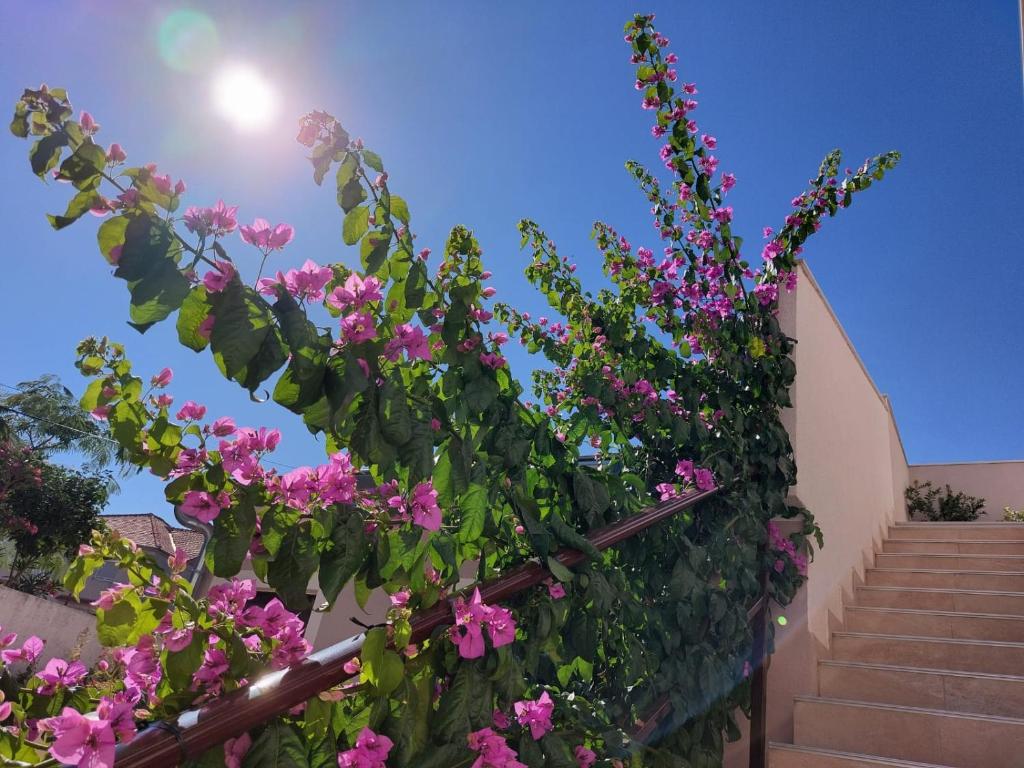 Apartments Lavanda - free parking and grill photo 2