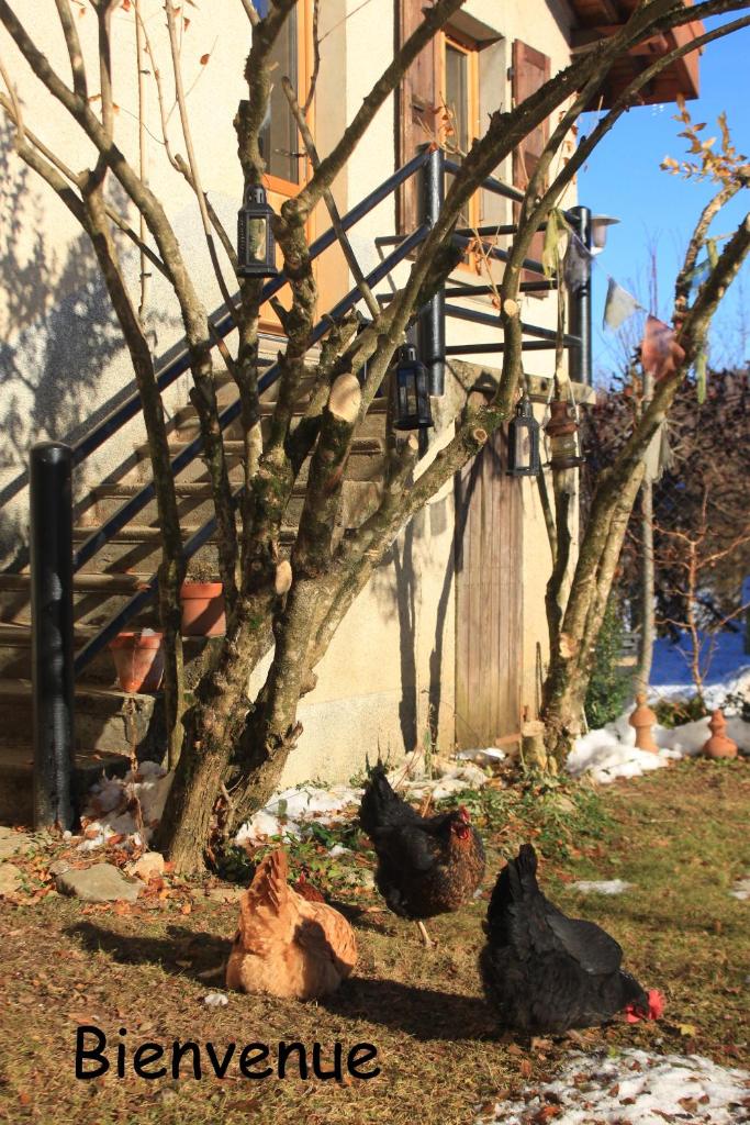 Belladone Guest House theys Les 7 Laux photo 1
