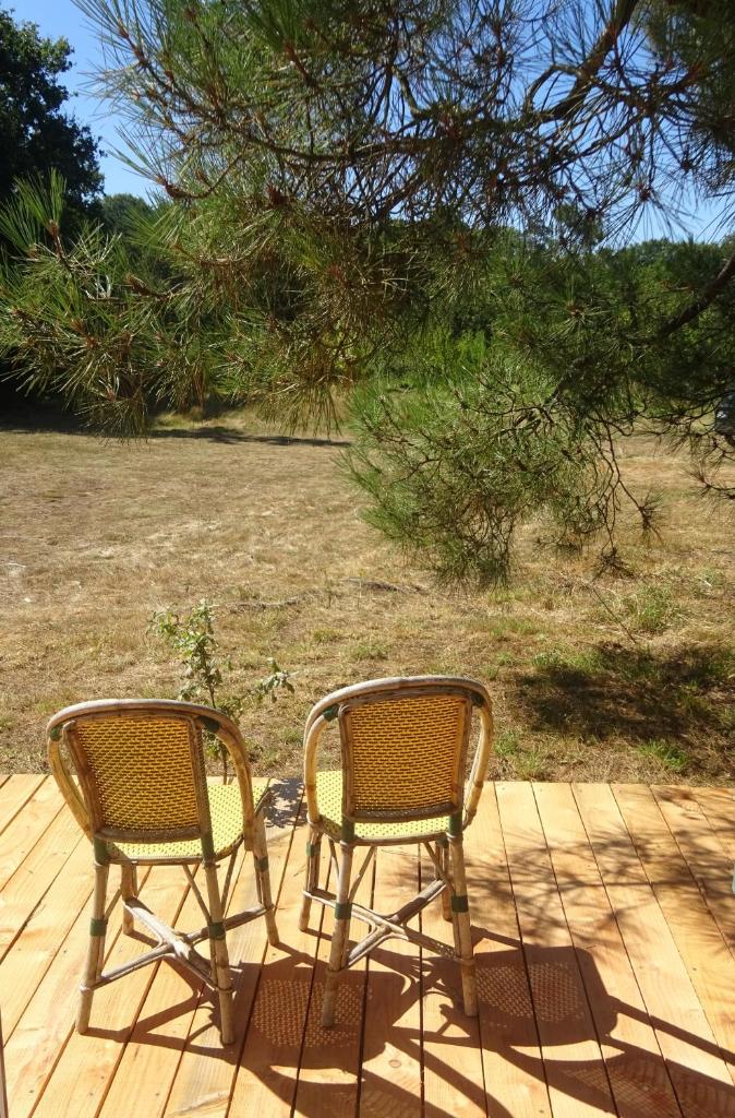 La pause tiny photo 2