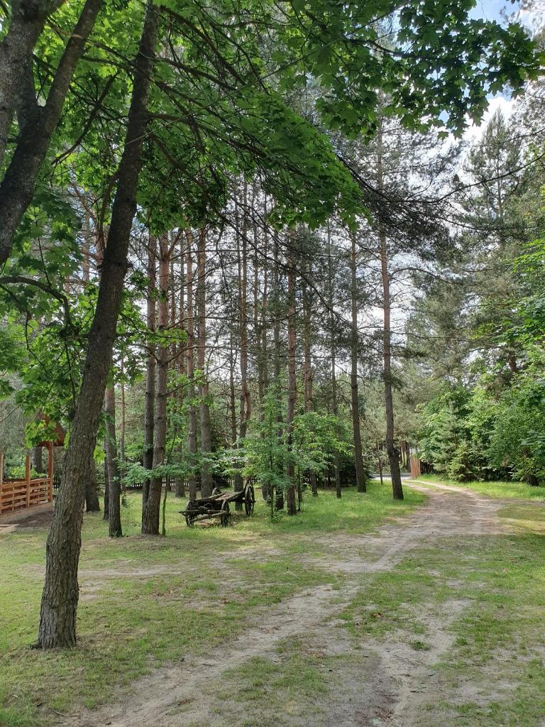 U ALEKSA photo 3