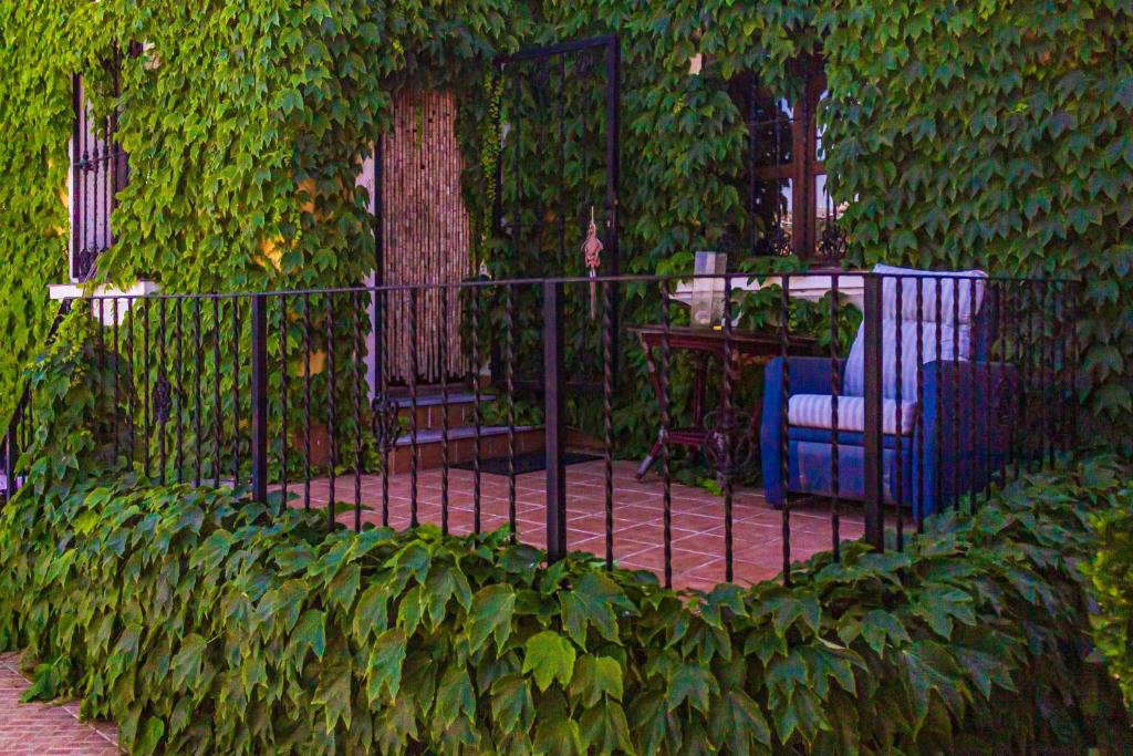 Habitación Onda con piscina privada photo 1