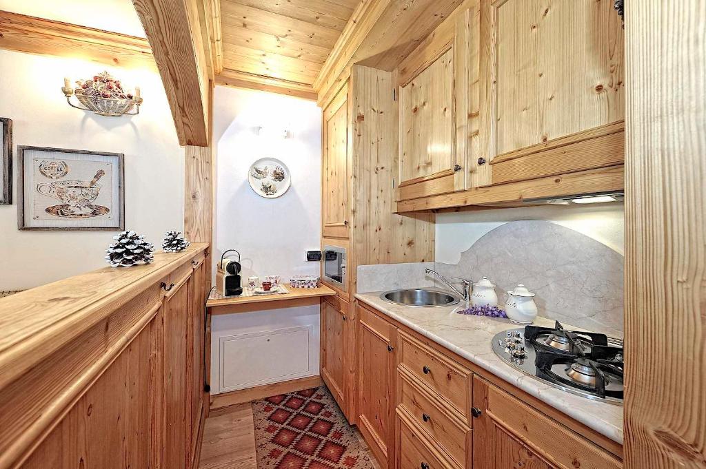 Luxury Apt Dolomites 2 photo 3