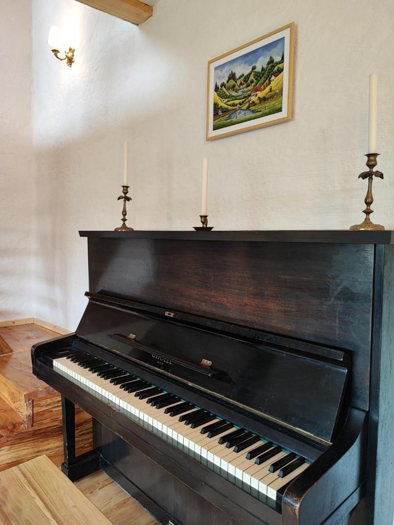 La sat - Radu Dragu photo 2