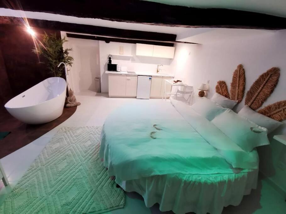 Studio équipé avec Lit rond / baignoire ilot / Table massage Aux Arcs photo 2
