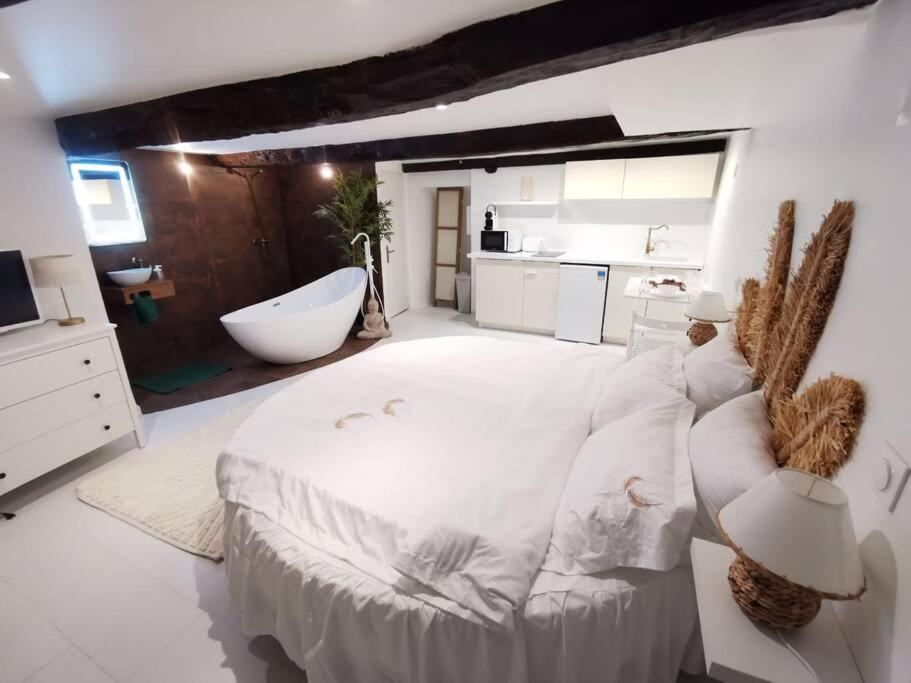 Studio équipé avec Lit rond / baignoire ilot / Table massage Aux Arcs photo 1