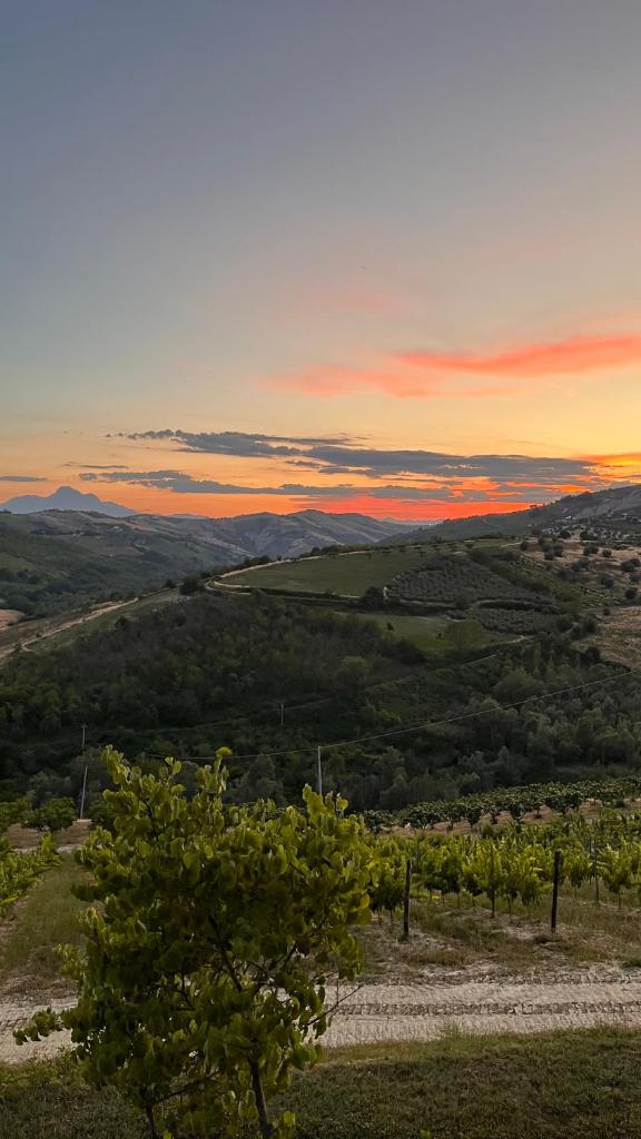 Glamping CirelliWines Abruzzo photo 3