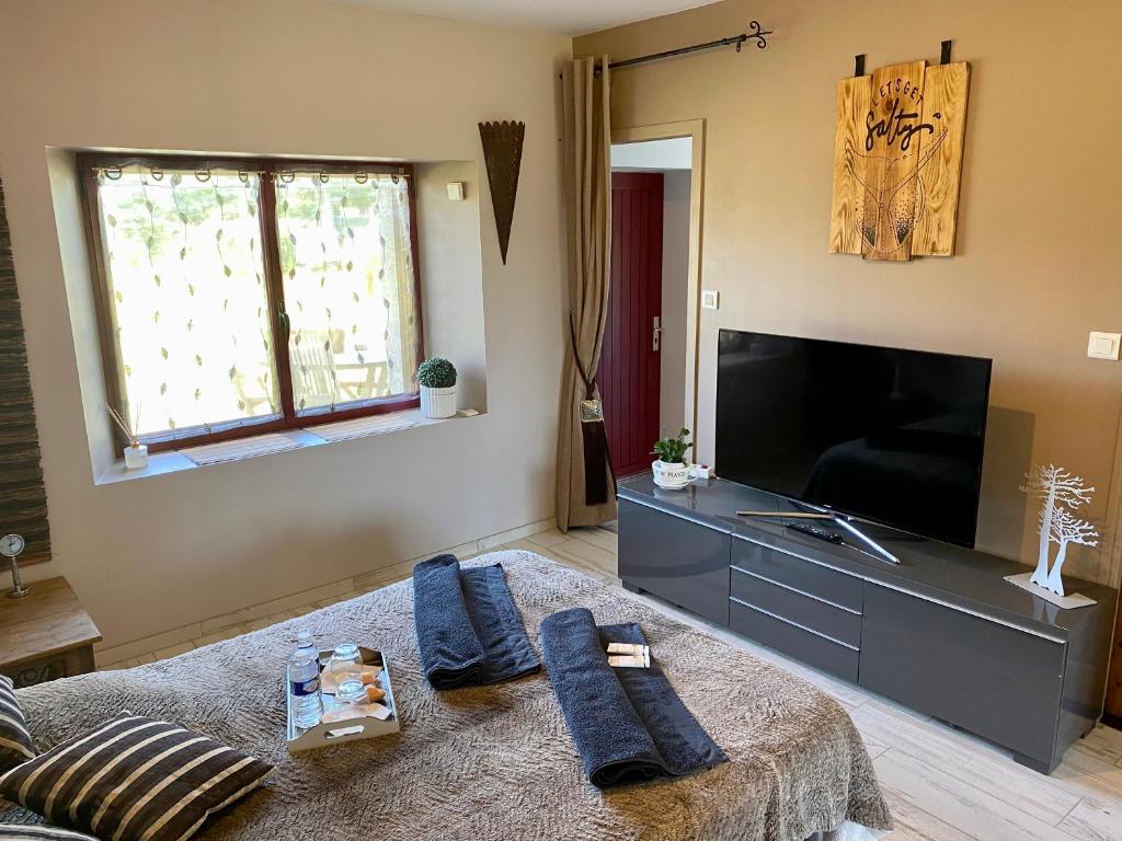 Gîte entièrement rénové Bord de Sèvre photo 2