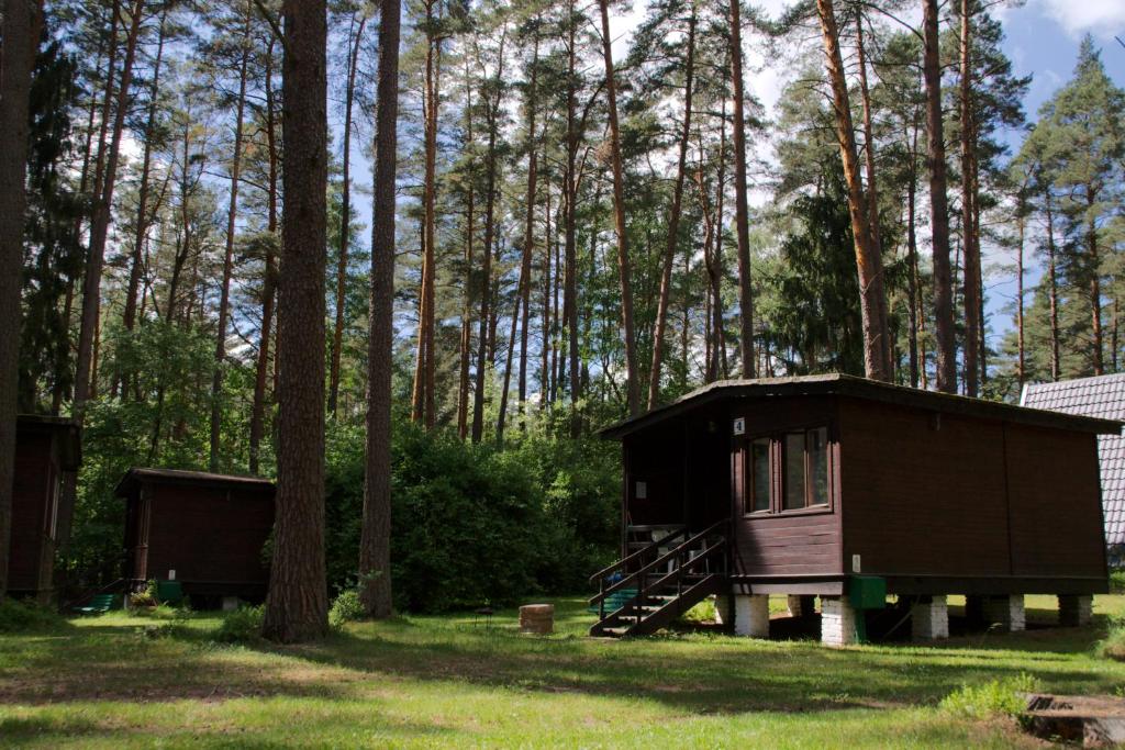 Ośrodek Wypoczynkowy Warmia photo 4