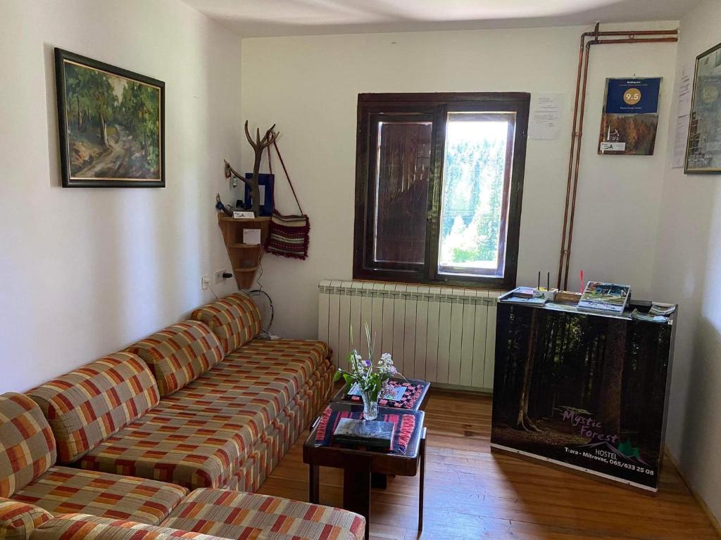 Mystic Forest Hostel photo 1