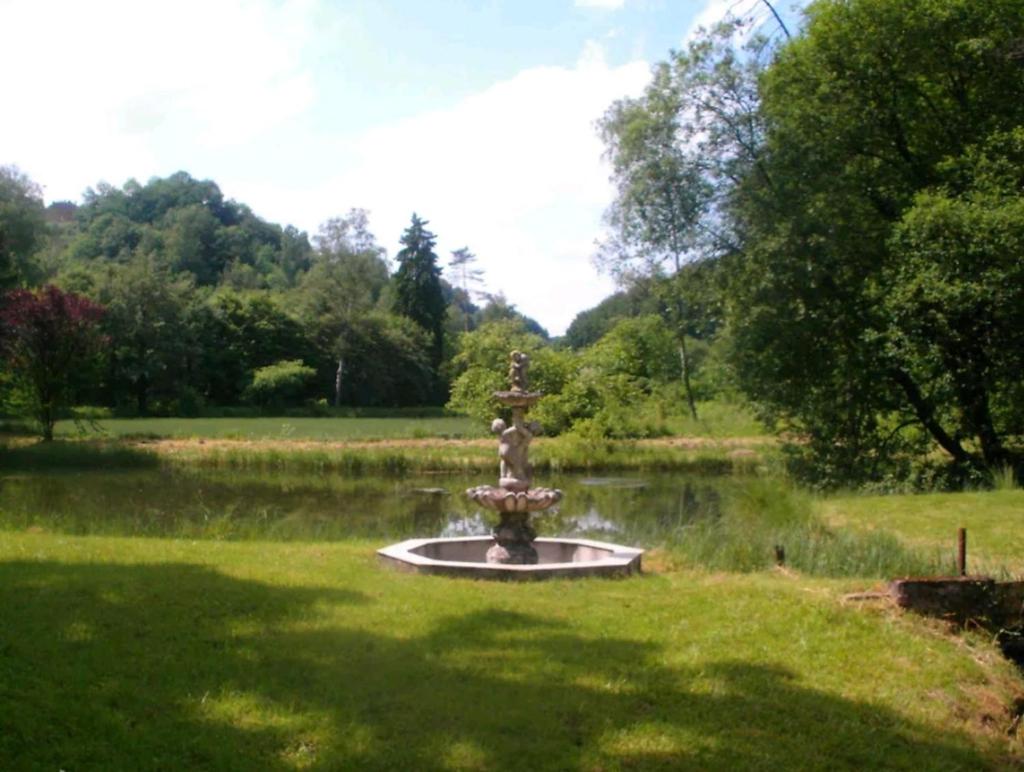 PROPRIETE BORDEE D'ETANGS, PROPICE A LA DETENTE photo 4